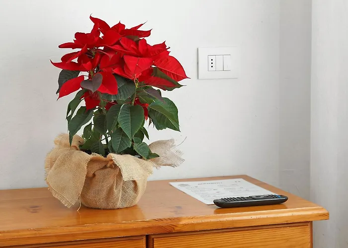 Trieste - Lorenzago Casa de hóspedes 3*