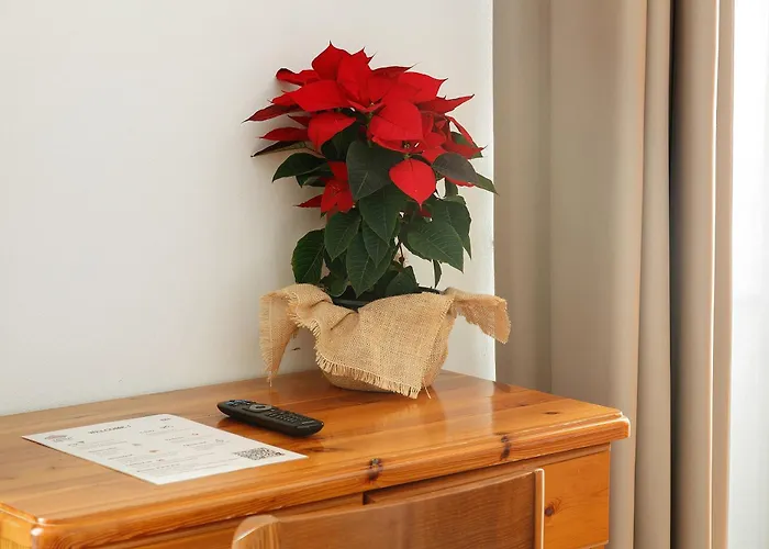 Πανσιόν Trieste - Lorenzago